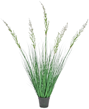 Kunstgræsplanten hvede 120 cm brandhæmmende i en potte har høje, opretstående blade og blomstrende stængler, hvilket gør den ideel til et grønt interiør. Denne vedligeholdelsesfrie plante tilføjer stilfuldt grønt mod en hvid baggrund.
