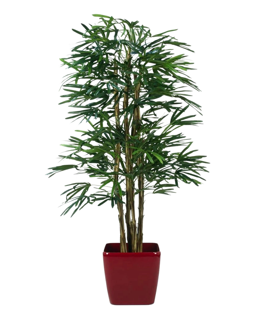 Lady Artificial Palm 210 cm, en kunstig palme med slanke grønne blade og flere tynde stængler, står i en blank rød firkantet plantekasse mod en almindelig hvid baggrund.