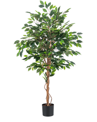 Kunstig plante Ficus Green 150 cm