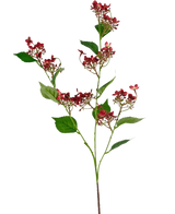 De Kunstbloem Wilde hortensia 86 cm rood heeft een hoge steel met trossen kleine, donkerrode bloemen en meerdere groene bladeren, afgebeeld tegen een witte achtergrond.