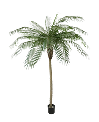 Kunstig palme Phoenix De Luxe 210 cm