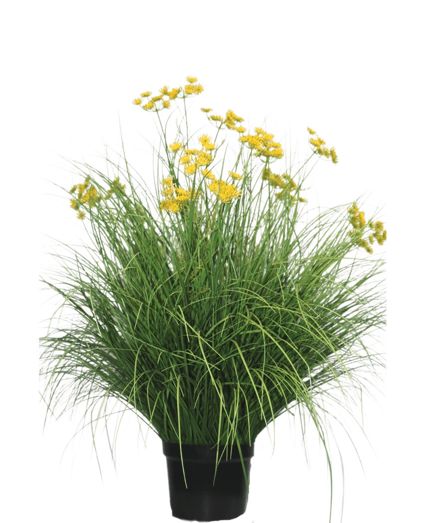 Kunstgræsplanten Asteraceae 100 cm brandhæmmende har lange, smalle blade og klaser af knaldgule blomster på høje stængler. Denne vedligeholdelsesfrie plante ser smuk ud i ethvert interiør på en hvid baggrund.