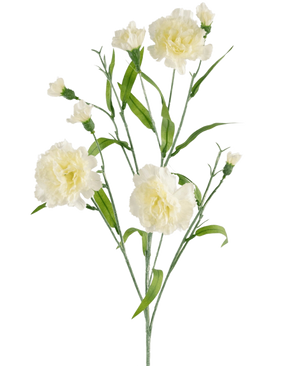 Den kunstige blomsternelliker bundt 70 cm hvid har en stilk med flere hvide nellikeblomster og grønne blade mod en almindelig hvid baggrund.