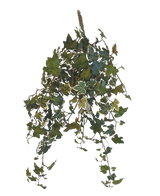 Artificial Ivy Deluxe Grøn-hvid 60cm er en hængende kunstig efeuplante med kaskadende grønne og hvidbrogede blade, mod en almindelig hvid baggrund.