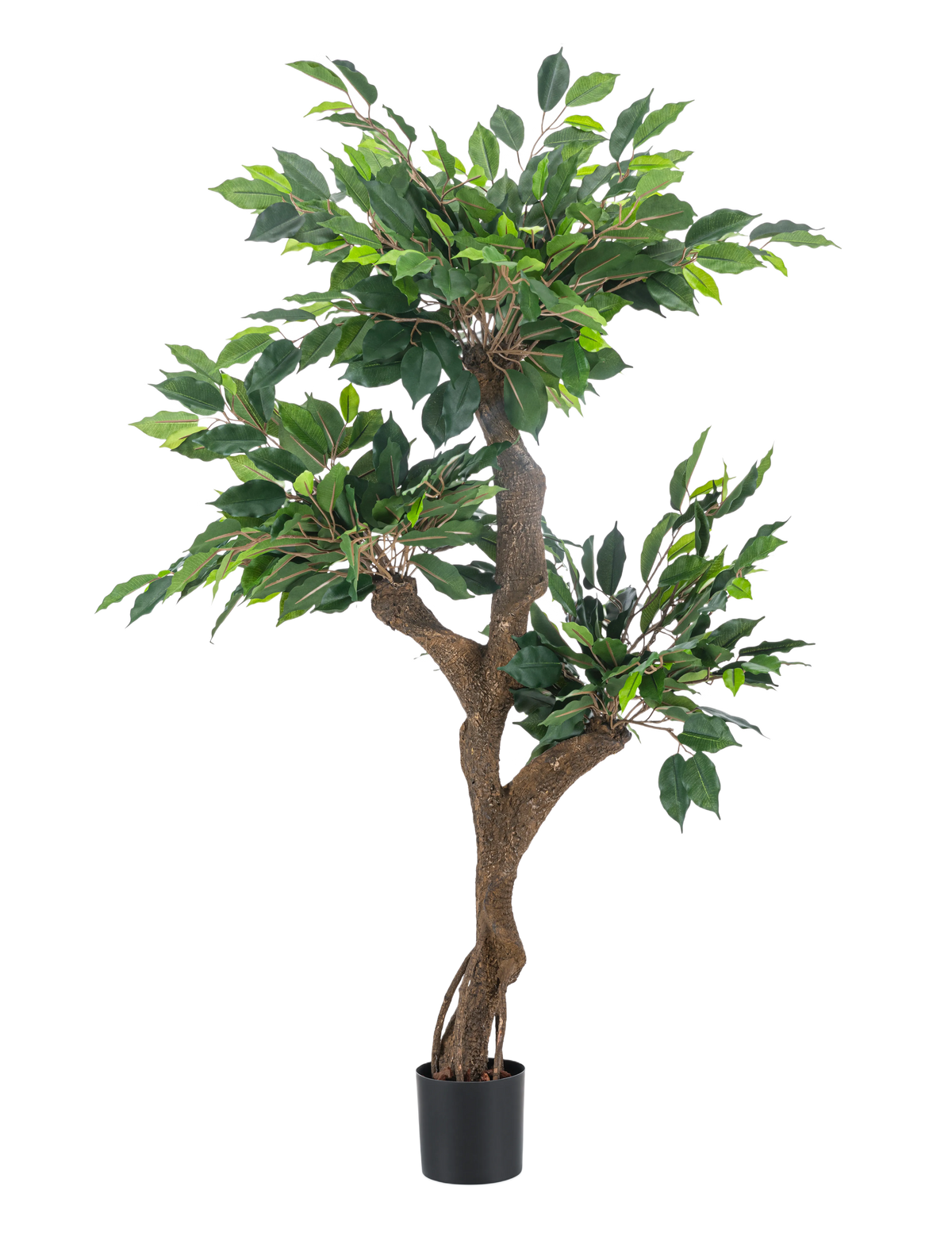 Den kunstige plante Ficus Crazy 120 cm er et højt kunstigt træ i en potte med flere brune stammer og tætte grønne blade, afbildet på en almindelig hvid baggrund.