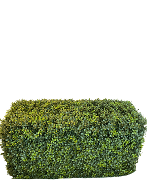 The Artificial Hedge Boxwood Roman Style (90 x 35 x 50 cm) er en tæt, rektangulær grøn hæk med små blade, isoleret på en hvid baggrund.