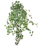 Artificial Ivy Deluxe Green 90cm er en klynge af tætte grønne vedbendranker, der løber nedad og udad, isoleret på en almindelig hvid baggrund.