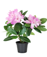 Den kunstige plante Rhododendron 34 cm har livlige grønne blade og klaser af lyserøde blomster i en lille sort potte, mod en almindelig hvid baggrund.