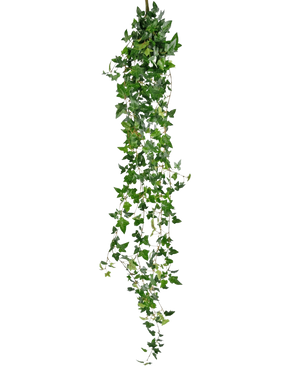 Den kunstige hængeplante Ivy Boston 180 cm grøn har lange, hængende grønne stængler med spidse blade, der falder ned mod en almindelig hvid baggrund.