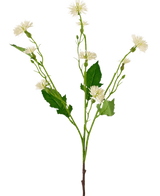 Artificial Flower Daisy Spray 54 cm hvid stråle har en enkelt grøn stilk med forgrenede klaser af små, hvide tusindfrydlignende blomster og uregelmæssige grønne blade, mod en almindelig hvid baggrund.