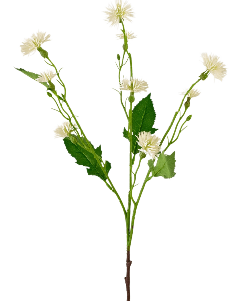 Artificial Flower Daisy Spray 54 cm hvid stråle har en enkelt grøn stilk med forgrenede klaser af små, hvide tusindfrydlignende blomster og uregelmæssige grønne blade, mod en almindelig hvid baggrund.