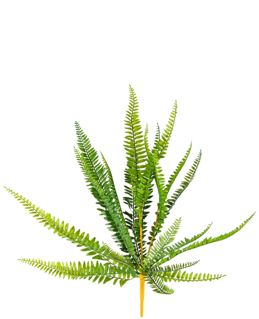 Den kunstige bregneplante 55 cm har levende grønne, lange slanke spidse blade, der rager udad, mod en almindelig hvid baggrund.