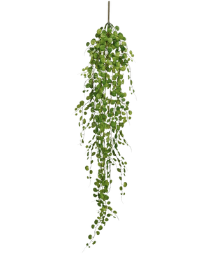 Den kunstige hængeplante Pumila 100 cm har en lang snoet vinstok med små, runde grønne blade, der hænger fra en enkelt stilk, mod en almindelig hvid baggrund.