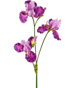 Artificial Flower Iris 102 cm lilla har en lang grøn stilk dekoreret med flere livlige lilla og hvide irisblomster, hver med flæser på kronbladene og gule accenter, mod en almindelig hvid baggrund.