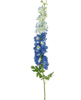 Den kunstige blomst Delphinium 105 cm blå har en enkelt lang stilk med blå-hvide blomster og grønne blade, mod en almindelig hvid baggrund.