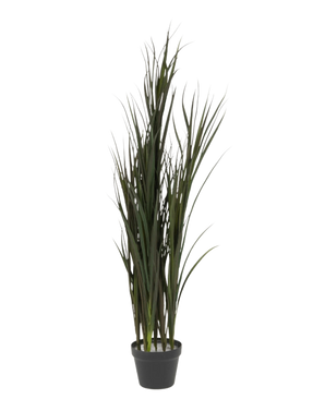 Artificial Grass Bordeaux UV 120cm er en høj kunstgræsplante med slanke grønne blade i en simpel sort potte, mod en almindelig hvid baggrund.