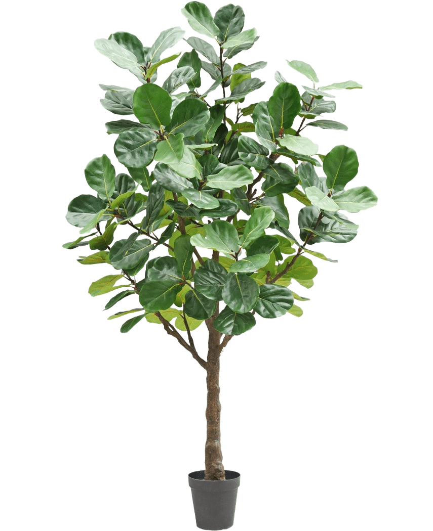 Artificial Tree Tobacco Plant 270 cm er et højt kunstigt træ med frodige, store grønne blade og en kraftig brun stamme, i en lille sort potte mod en almindelig hvid baggrund.