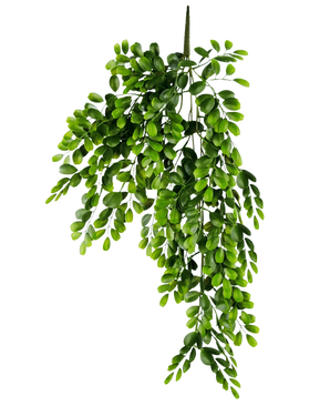 Den kunstige hængeplante Pumila 86 cm er en realistisk kunstig gren med flere stængler af små, lysegrønne ovale blade, som fremstår frodige og kaskade på en almindelig hvid baggrund.
