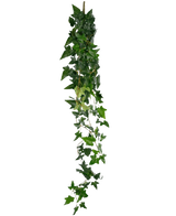 Den kunstige hængeplante Ivy Boston 120 cm grøn har en lang tråd af kunstig grøn efeu med tætte, spidse blade, der falder ned mod en almindelig hvid baggrund.