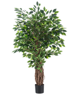 Den kunstige plante Ficus Tropical Liana 150 cm er et højt kunstigt træ med en flettet stamme og tætte grønne blade, vist i en lille sort potte mod en almindelig hvid baggrund.