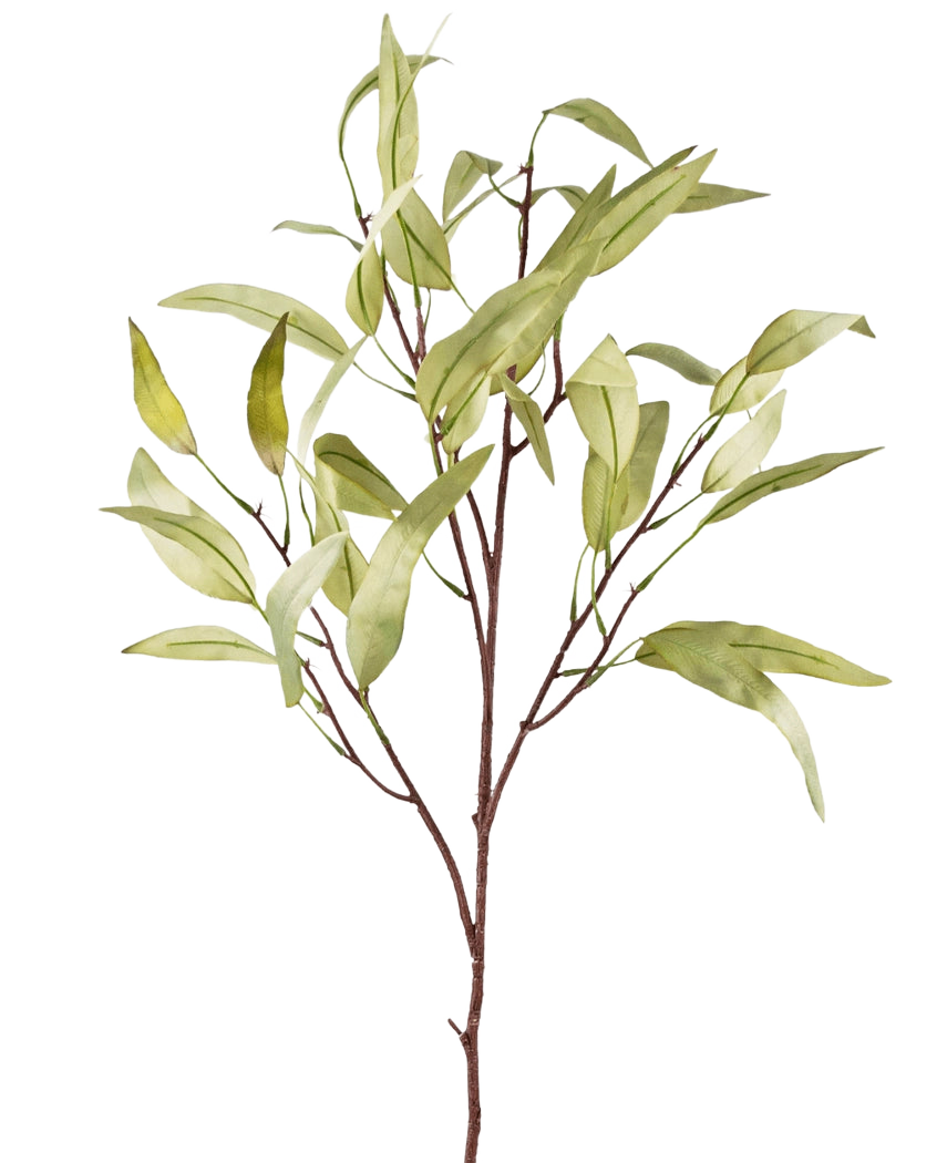 Den kunstige gren Eucalyptus Niphophila 108 cm grøn har en enkelt brun stamme med flere tynde grene, hver dekoreret med aflange, lysegrønne blade, mod en almindelig hvid baggrund.