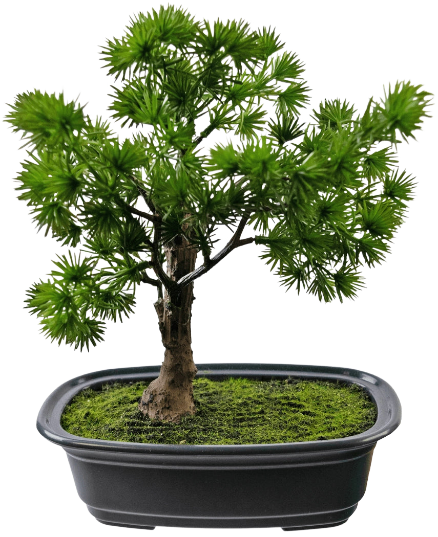 Den kunstige plante Bonsai Juniper 20 cm har tætte, spidse grønne blade i en rektangulær sort potte med mos, mod en almindelig hvid baggrund.