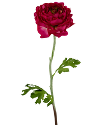 Kunstig blomst Ranunkel 51 cm mørk rosa