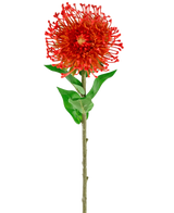 Artificial Flower Protea 73 cm rød har livlige røde kronblade, grønne blade og en lang slank stilk, hvilket gør den til en slående kunstig blomst, der tilføjer varig skønhed til ethvert rum.