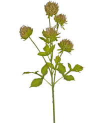 Kunstig blomst Tidsel 66 cm brun