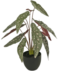 Kunstig Begonia 48 cm i potteskjuler sort