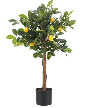 Det kunstige citrontræ 75 cm er et lille kunstigt citrontræ med en brun stamme, grønne blade og flere gule falske citroner mod en almindelig hvid baggrund.