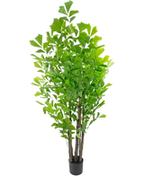 Den kunstige fiskehalepalme 210 cm er en høj kunstig plante i en potte med flere brune stængler og frodige grønne blade, præsenteret i en lille sort potte mod en hvid baggrund.