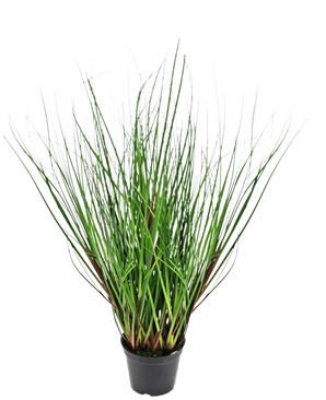 De Kunst Grasplant Ui 50 cm brandvertragend heeft lange, dunne, groene grasachtige bladeren die rechtop groeien en vanuit het midden naar buiten buigen, gepresenteerd in een zwarte plastic pot tegen een witte achtergrond.
