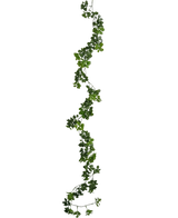Den kunstige slyngplante Gardenia 157 cm har en enkelt, lang grøn ranke med små blade, der hænger lodret mod en almindelig hvid baggrund.