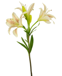 Kunstig blomst asiatisk lilje 66 cm pink