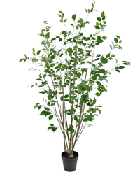Kunstig plante Ficus 180 cm