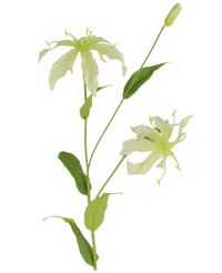 Kunstig blomst Gloriosa 81 cm hvid