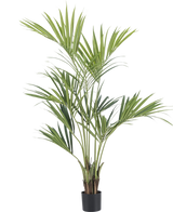De Kunstplant Kentia Palm 150 cm is een hoge palm in pot met lange, slanke groene bladeren en meerdere stammen, tegen een effen witte achtergrond.