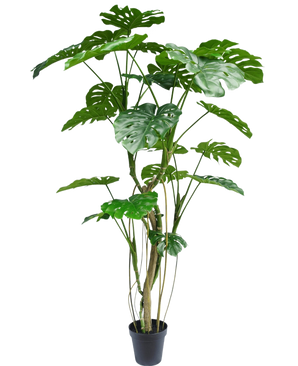 Kunstplanten Monstera 210 cm er en høj potteplante med flere lange stængler og store, skinnende, spaltede grønne blade, der minder om en rigtig monstera. Vist her mod en almindelig hvid baggrund.