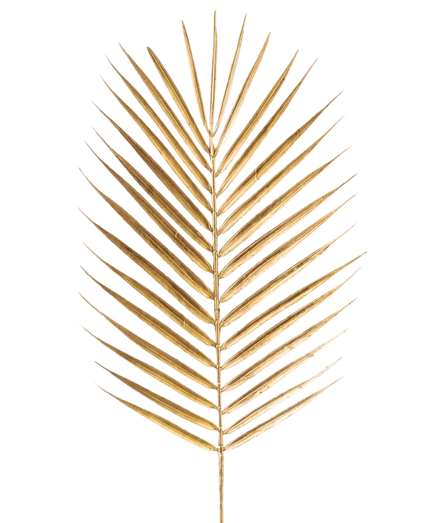 Den kunstige grenbregne 64 cm guld har et enkelt gyldent palmeblad med lange, slanke blade på en almindelig hvid baggrund.