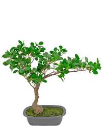 Kunstig plante Bonsai Ficus 40 cm