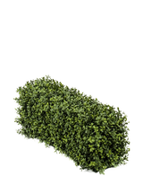 Artificial Boxwood Hedge UV 70x20x25 cm er en tæt, rektangulær kunstig buksbom busk med små grønne blade mod en almindelig hvid baggrund.