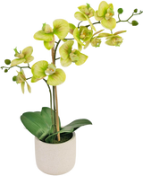 De Kunst Orchidee Real Touch 60 cm groen is een kunstorchidee in pot met lichtgroene en gele bloemen, verschillende groene knoppen op lange stelen en brede donkergroene bladeren in een eenvoudige witte pot.