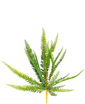 Den kunstige bregneplante 55 cm har levende grønne, lange slanke spidse blade, der rager udad, mod en almindelig hvid baggrund.