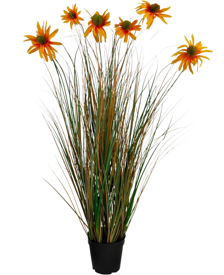 Kunstgræs Chrysanthemum Onion Pot 90 cm brandhæmmende middel har høje, grønne og brune græslignende blade med syv orange kunstige tusindfryd blomster i en sort potte, mod en hvid baggrund.