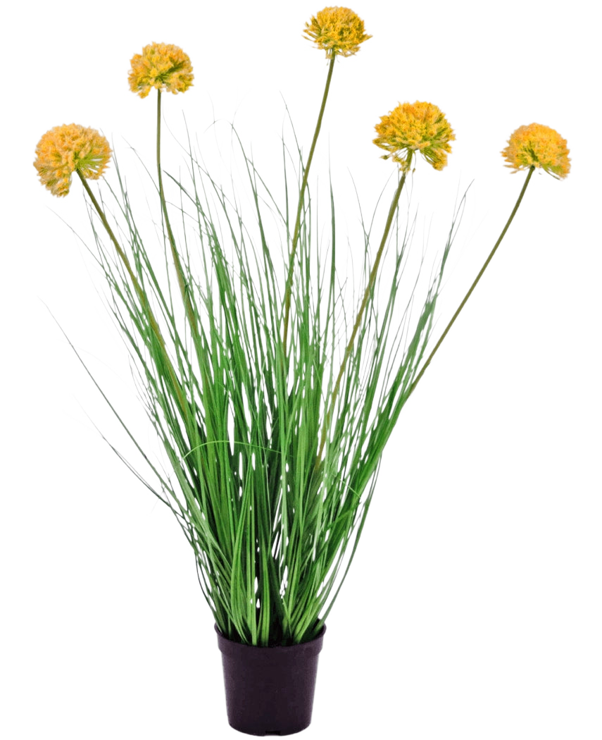 Artificial Gras Plant Onion 70 cm brandhæmmende middel har lange, tynde grønne blade og høje stængler med runde gule blomsterklaser, så den skiller sig smukt ud mod en hvid baggrund.