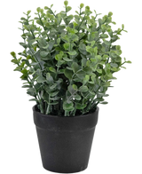 Den kunstige plante Pumila 23 cm er en lille grøn potteplante med runde blade i en simpel sort potte, afbildet på en hvid baggrund.