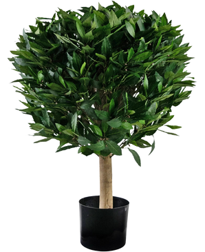 Den kunstige laurbær UV d55 cm-plante har en lige stamme og en tæt, rund klynge af blanke grønne blade, præsenteret i en sort beholder mod en hvid baggrund.