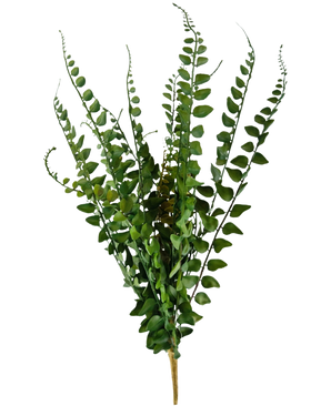Artificial Stitch Fern 48 cm har kunstige bregnegrene med lange, slanke stængler og fint detaljerede blade, der står oprejst mod en almindelig hvid baggrund.