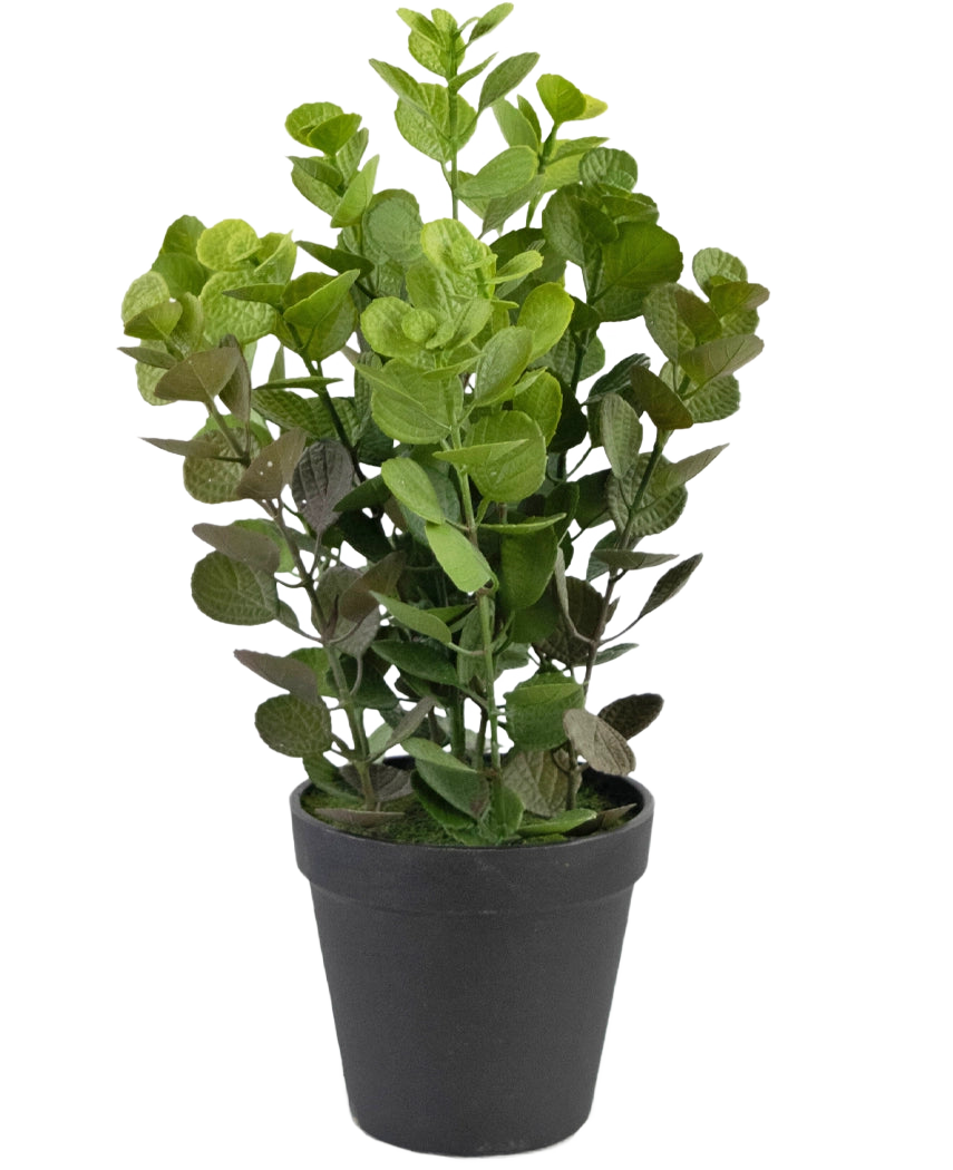 Den kunstige plante Vicks 33 cm er en grønbladet kunstig plante med runde blade i en simpel sort potte, mod en almindelig hvid baggrund.